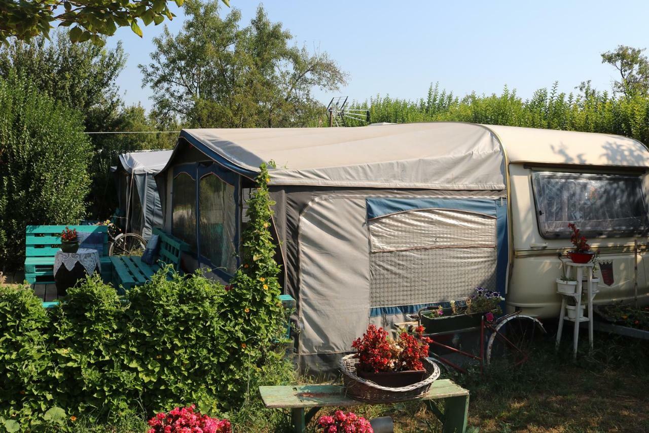 Mandel Camping Paloznak Cameră foto